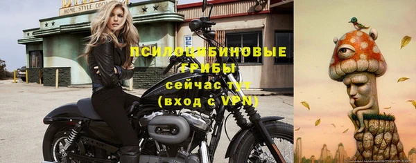 спайс Баксан