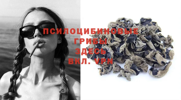 спайс Баксан
