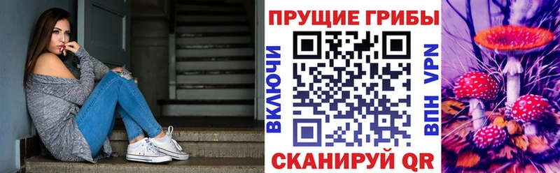 Псилоцибиновые грибы прущие грибы  Купить  Среднеколымск 